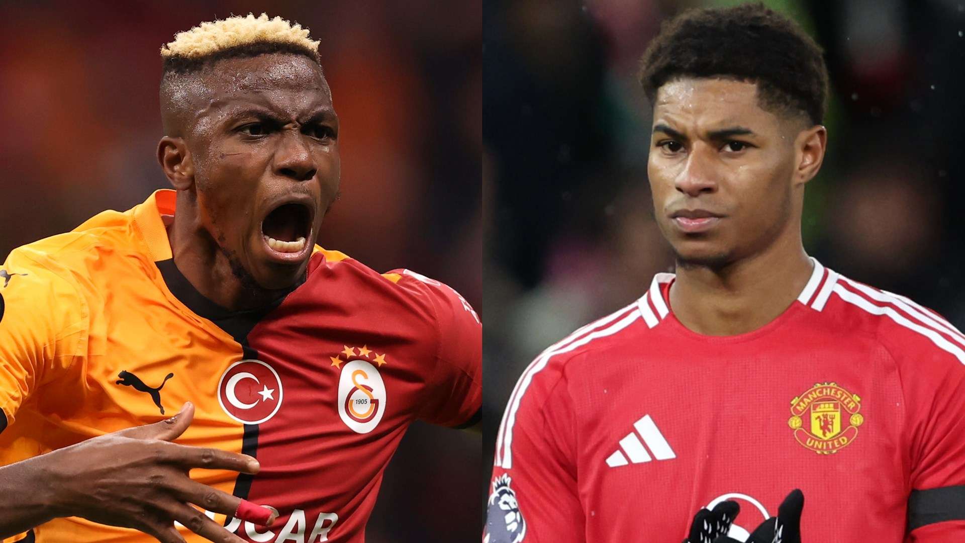 这将是一条 这将是一条